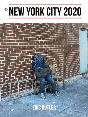 cover image of New York City 2020
